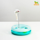 Игрушка для кошек "Загадочный круг" с дразнилкой и шариком, 24 х 24 х 7 см, микс цветов - Фото 1