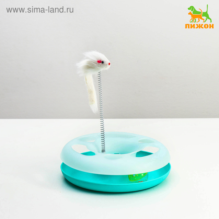 Игрушка для кошек "Загадочный круг" с дразнилкой и шариком, 24 х 24 х 7 см, микс цветов - Фото 1