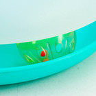 Игрушка для кошек "Загадочный круг" с дразнилкой и шариком, 24 х 24 х 7 см, микс цветов - Фото 3