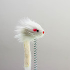 Игрушка для кошек "Загадочный круг" с дразнилкой и шариком, 24 х 24 х 7 см, микс цветов - Фото 4