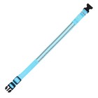 Ошейник с подсветкой Двойная полоса размер XL, ОШ 52-60×2.5 см, 3 режима свечения голубой - Фото 4