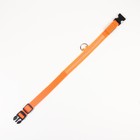 Ошейник с подсветкой размер XL, ОШ 52-60×2.5 см, 3 режима свечения оранжевый - Фото 7