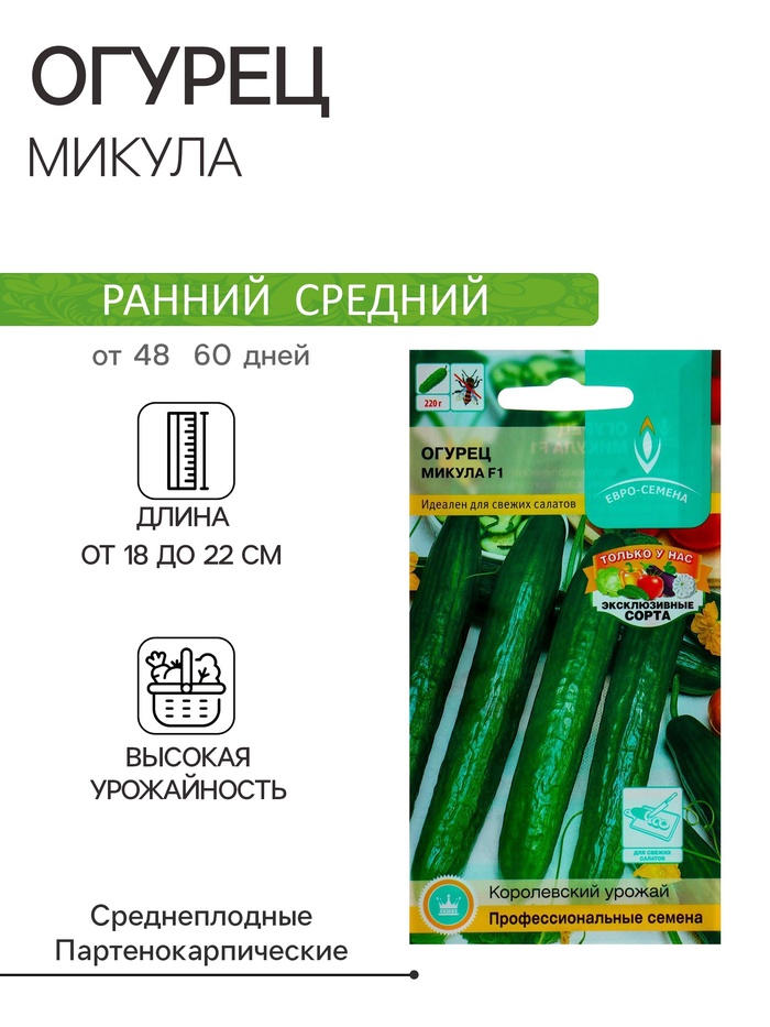 Семена Огурец Микула F1 раннеспелый, партенокарпический, гладкий, салатный 0,25 г. - Фото 1