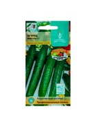 Семена Огурец Микула F1 раннеспелый, партенокарпический, гладкий, салатный 0,25 г. - Фото 5