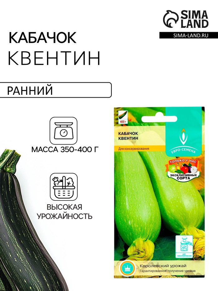 Семена Кабачок «Квентин», 10 шт., «Евро-семена» - Фото 1