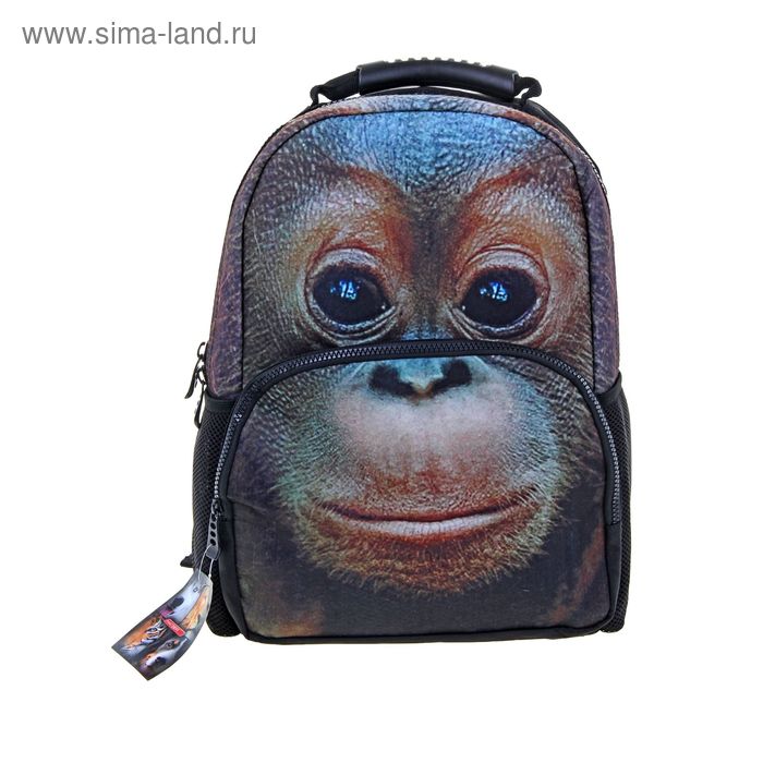 Рюкзак молодёжный на молнии "Орангутан", 1 отдел, 1 наружный и 2 боковых кармана, чёрный - Фото 1