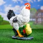 Садовая фигура "Курица с цыплятами" 17х25х33см - фото 9720694