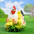 Садовая фигура из полистоуна «Курица Наседка», 27×20×22 см - Фото 14