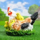 Садовая фигура из полистоуна «Курица Наседка», 27×20×22 см - Фото 15