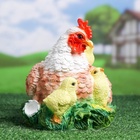 Садовая фигура из полистоуна «Курица Наседка», 27×20×22 см - Фото 11