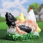 Садовая фигура из полистоуна «Курица Наседка», 27×20×22 см - Фото 12