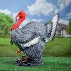 Садовая фигура 'Индюк' большой 32х44х47см - фото 807054044