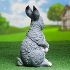 Садовая фигура из полистоуна «Заяц полевой», 33×21×18 см - Фото 16
