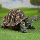 Садовая фигура "Черепаха" большая новая 36х24х22  см - Фото 2