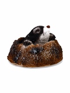 Садовая фигура из полистоуна «Крот из норки», 18×18×12 см - Фото 3