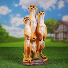Садовая фигура из полистоуна «Сурикаты четвёрка», 46×17×20 см - Фото 10