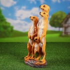 Садовая фигура из полистоуна «Сурикаты четвёрка», 46×17×20 см - Фото 11