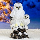 Садовая фигура из полистоуна «Совы полярные», 38×20×19 см - Фото 1