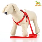 Комплект «Базис», поводок 120×1.5 см, шлейка 32-46×1.5 см, красный - Фото 1