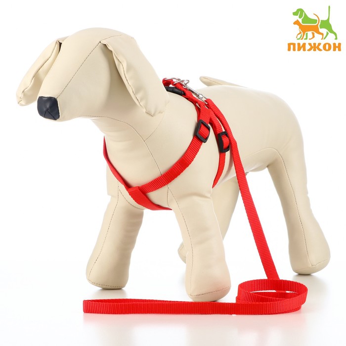 Комплект «Базис», поводок 120×1.5 см, шлейка 32-46×1.5 см, красный - Фото 1