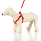 Комплект «Базис», поводок 120×1.5 см, шлейка 32-46×1.5 см, красный - Фото 6