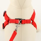 Комплект «Базис», поводок 120×1.5 см, шлейка 32-46×1.5 см, красный - Фото 2