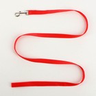 Комплект «Базис», поводок 120×1.5 см, шлейка 32-46×1.5 см, красный - Фото 4