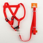 Комплект «Базис», поводок 120×1.5 см, шлейка 32-46×1.5 см, красный - Фото 5