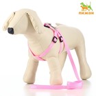 Комплект "Базис", поводок 120 х 1,5 см, шлейка 32-46 х 1,5 см, розовый - Фото 1