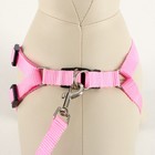 Комплект "Базис", поводок 120 х 1,5 см, шлейка 32-46 х 1,5 см, розовый - Фото 2