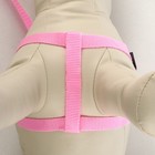 Комплект "Базис", поводок 120 х 1,5 см, шлейка 32-46 х 1,5 см, розовый - Фото 3