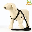 Комплект «Базис», поводок 120×1.5 см, шлейка 32-46×1.5 см, чёрный - Фото 1