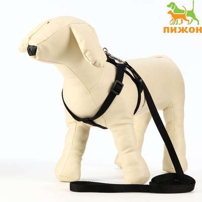 Комплект «Базис», поводок 120×1.5 см, шлейка 32-46×1.5 см, чёрный