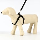 Комплект «Базис», поводок 120×1.5 см, шлейка 32-46×1.5 см, чёрный - Фото 7