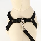 Комплект «Базис», поводок 120×1.5 см, шлейка 32-46×1.5 см, чёрный - Фото 2