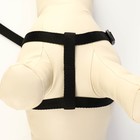 Комплект «Базис», поводок 120×1.5 см, шлейка 32-46×1.5 см, чёрный - Фото 3