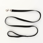 Комплект «Базис», поводок 120×1.5 см, шлейка 32-46×1.5 см, чёрный - Фото 4