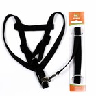 Комплект «Базис», поводок 120×1.5 см, шлейка 32-46×1.5 см, чёрный - Фото 5