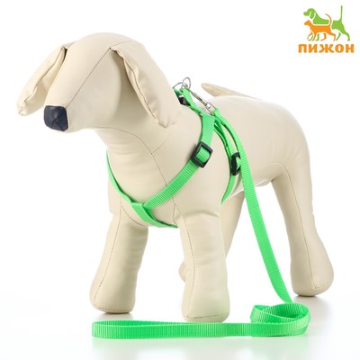 Комплект «Базис», поводок 120×1.5 см, шлейка 32-46×1.5 см, зелёный