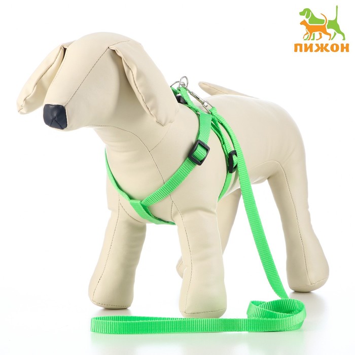 Комплект «Базис», поводок 120×1.5 см, шлейка 32-46×1.5 см, зелёный - Фото 1