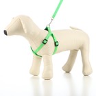 Комплект «Базис», поводок 120×1.5 см, шлейка 32-46×1.5 см, зелёный - Фото 6