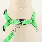 Комплект «Базис», поводок 120×1.5 см, шлейка 32-46×1.5 см, зелёный - Фото 2