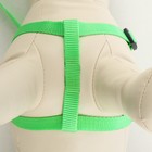 Комплект «Базис», поводок 120×1.5 см, шлейка 32-46×1.5 см, зелёный - Фото 3