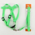 Комплект «Базис», поводок 120×1.5 см, шлейка 32-46×1.5 см, зелёный - Фото 5