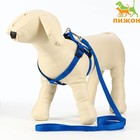 Комплект «Базис», поводок 120×1.5 см, шлейка 32-46×1.5 см, синий - Фото 1