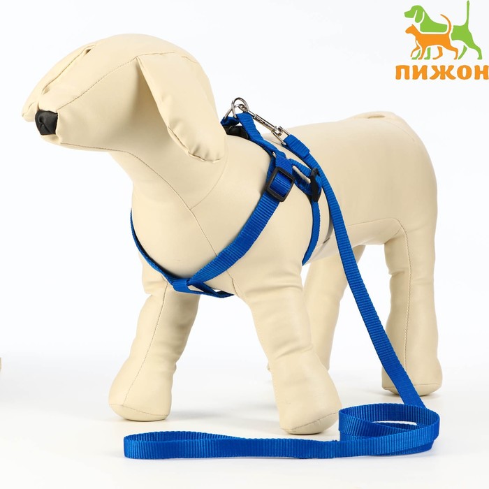 Комплект «Базис», поводок 120×1.5 см, шлейка 32-46×1.5 см, синий - Фото 1