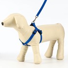 Комплект «Базис», поводок 120×1.5 см, шлейка 32-46×1.5 см, синий - Фото 6