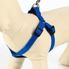 Комплект «Базис», поводок 120×1.5 см, шлейка 32-46×1.5 см, синий - Фото 7