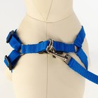 Комплект «Базис», поводок 120×1.5 см, шлейка 32-46×1.5 см, синий - Фото 2