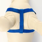 Комплект «Базис», поводок 120×1.5 см, шлейка 32-46×1.5 см, синий - Фото 3